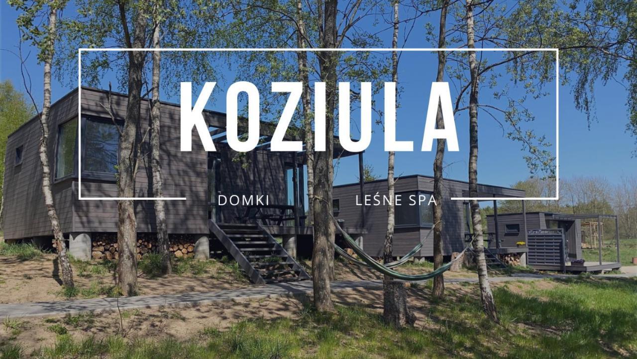 פשווידץ Koziula - Domki I Lesne Spa Na Kaszubach מראה חיצוני תמונה